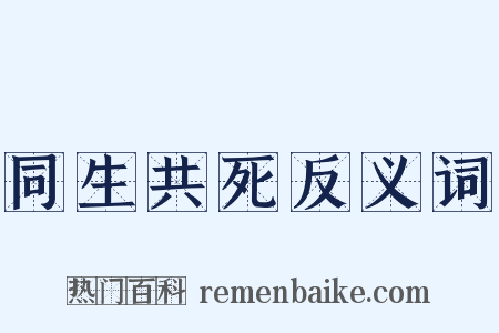 同生共死反义词是什么意思的图片